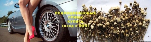 тгк Баксан